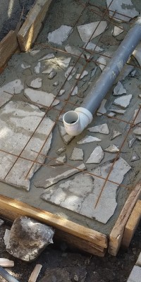 IMG_20200719_093756.jpg