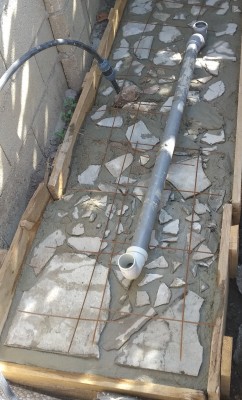 IMG_20200719_093802.jpg