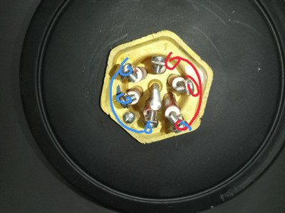 IMG_20200818_065522.jpg