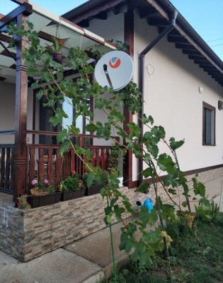 lozi0820.jpg