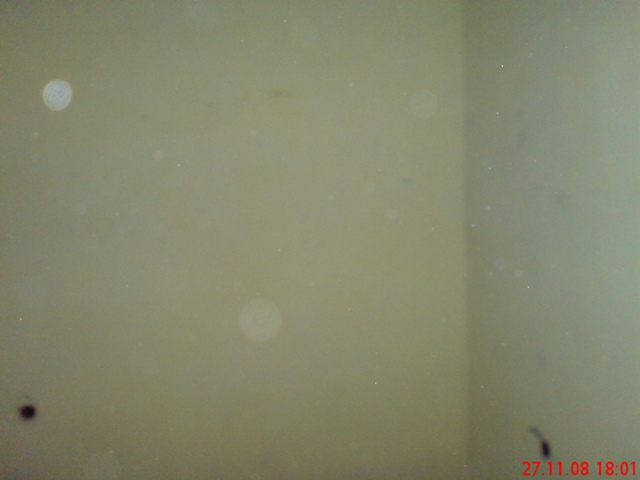 DSC00158.JPG