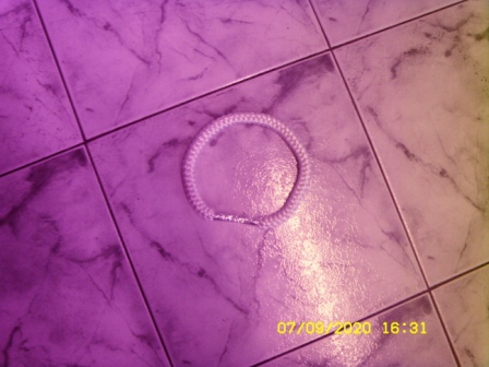 ST830037.JPG