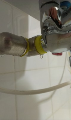 IMAG0464.jpg