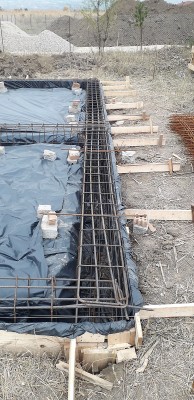 20201028_140336.jpg