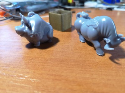 Bull_2.jpg