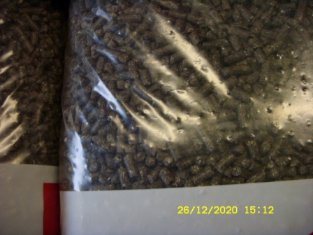 ST830090.JPG