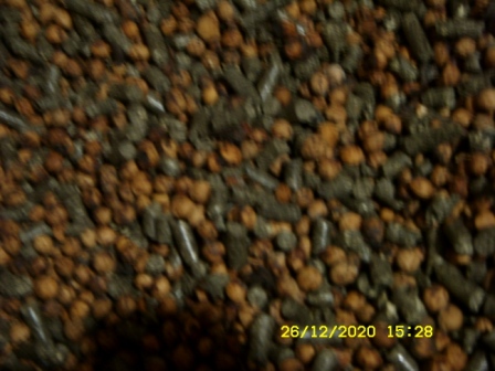 ST830093.JPG