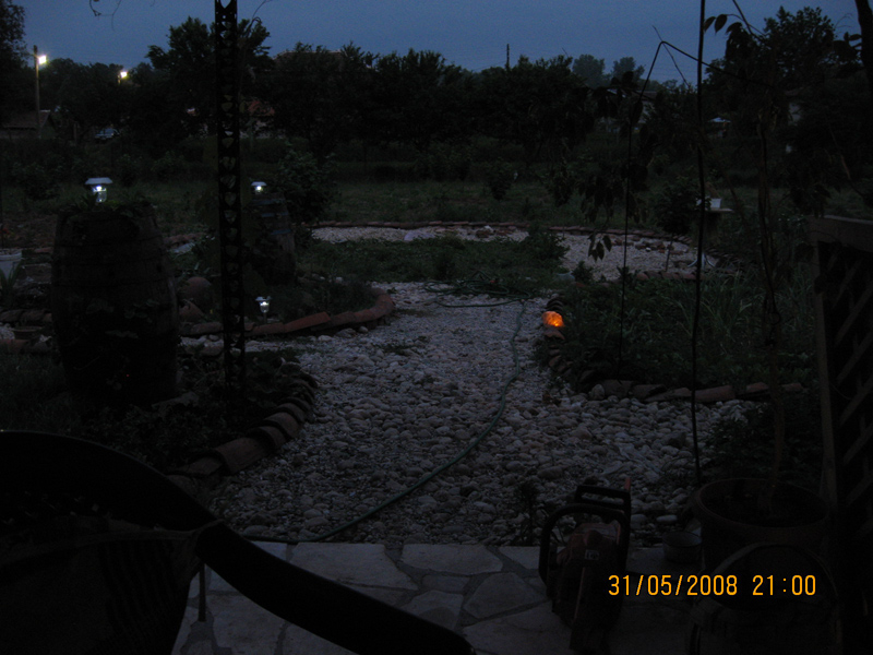 Picture 287-1.jpg
