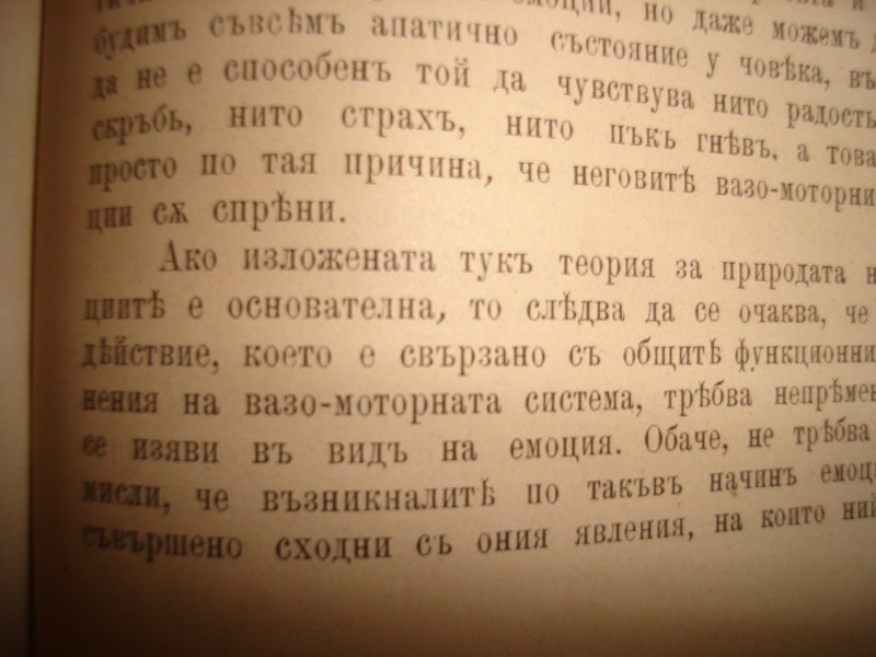 DSC06516.JPG