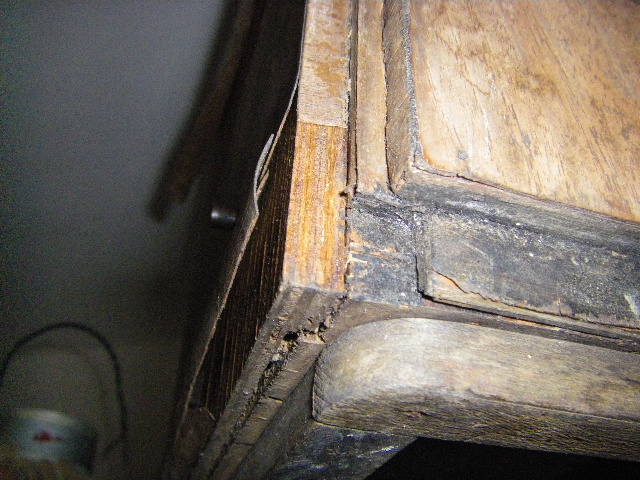 IMGP1356.JPG