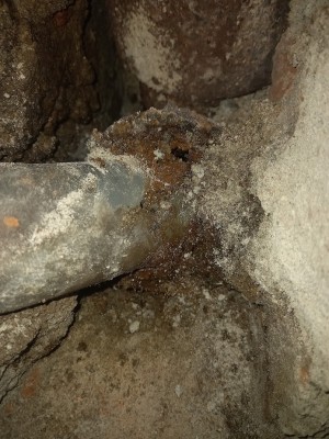 20220130_140104.jpg
