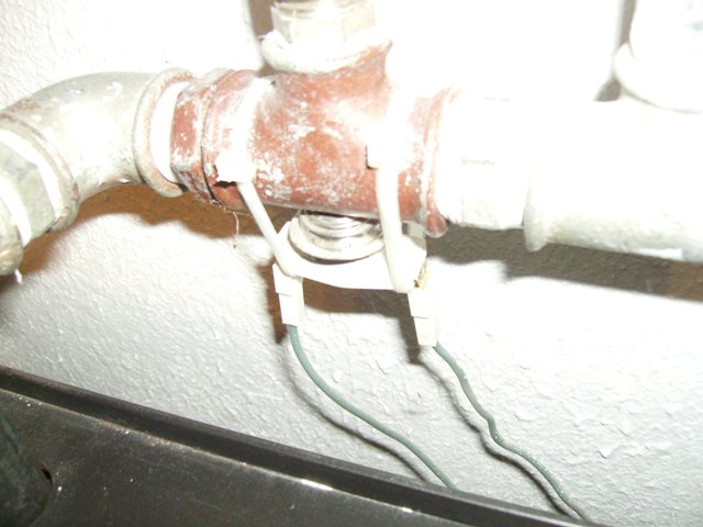 IMGP0009.JPG