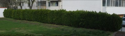DSCF6697.JPG