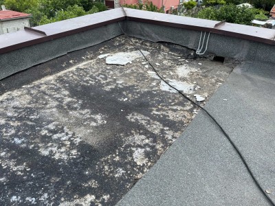 roof3.jpg