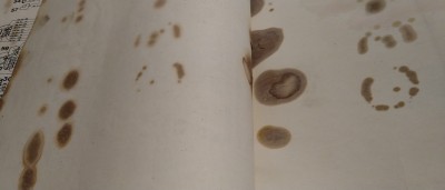 DSC_1270.jpg