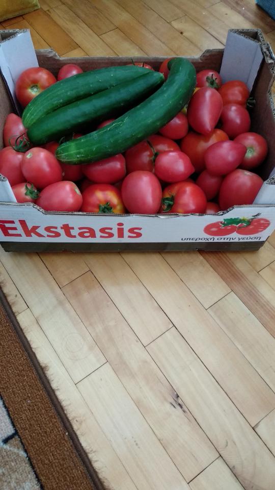 rps20230715_181555.jpg