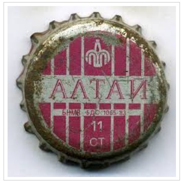 Алтай 11 стинки.jpg