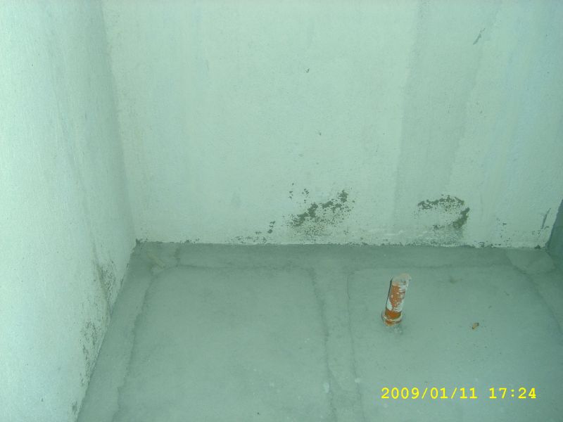 STP60968.jpg