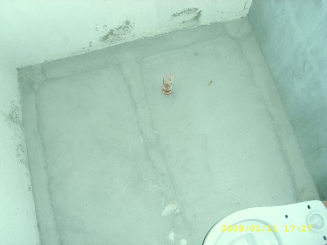 STP60991.jpg