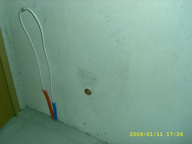 STP60981.jpg