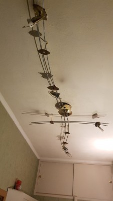 20230829_124101.jpg