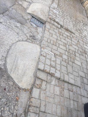 паве1.jpg