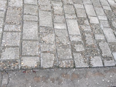 паве3.jpg