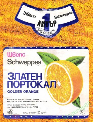 107750090.2.jpg