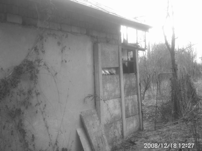 Picture 018 ц.jpg
