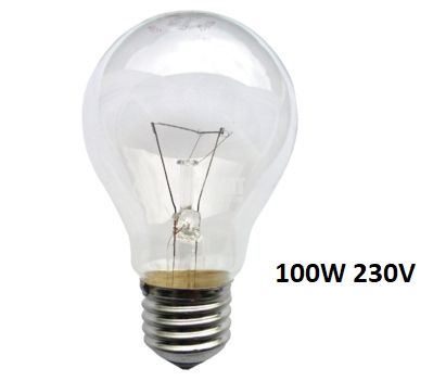 100W.jpg