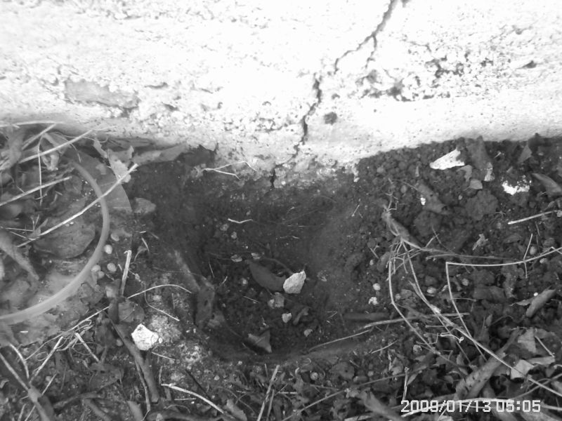 Picture 018ос.jpg