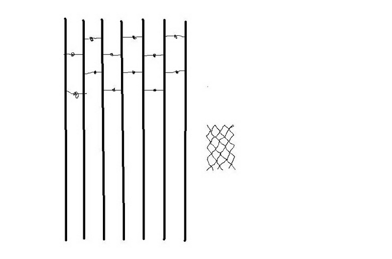 2_resize.jpg