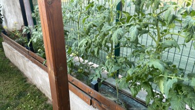 IMG_0346.jpeg