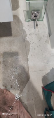 1718600761880.jpg