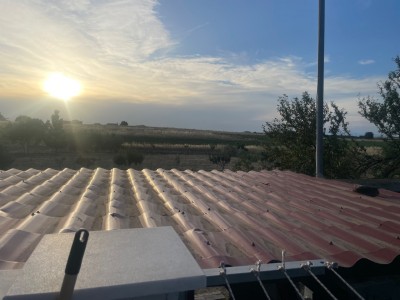 IMG_0367.jpeg
