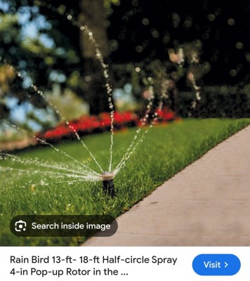 Screenshot_20240701_091635_Google.jpg