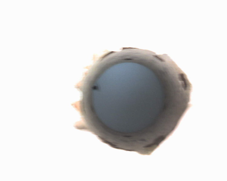 090123_123039_resize.jpg