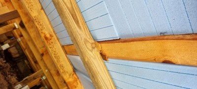 20241002_125033.jpg