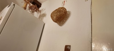 IMG_20241002_203204.jpg