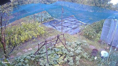 rps20241006_163359.jpg