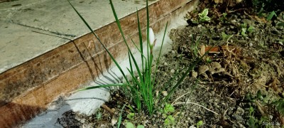 IMG_20241005_055630.jpg