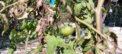 IMG_20241007_122227.jpg