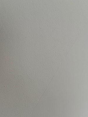 IMG_6531.jpeg
