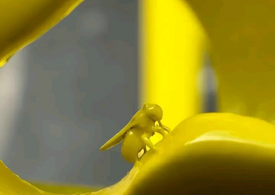 23.png