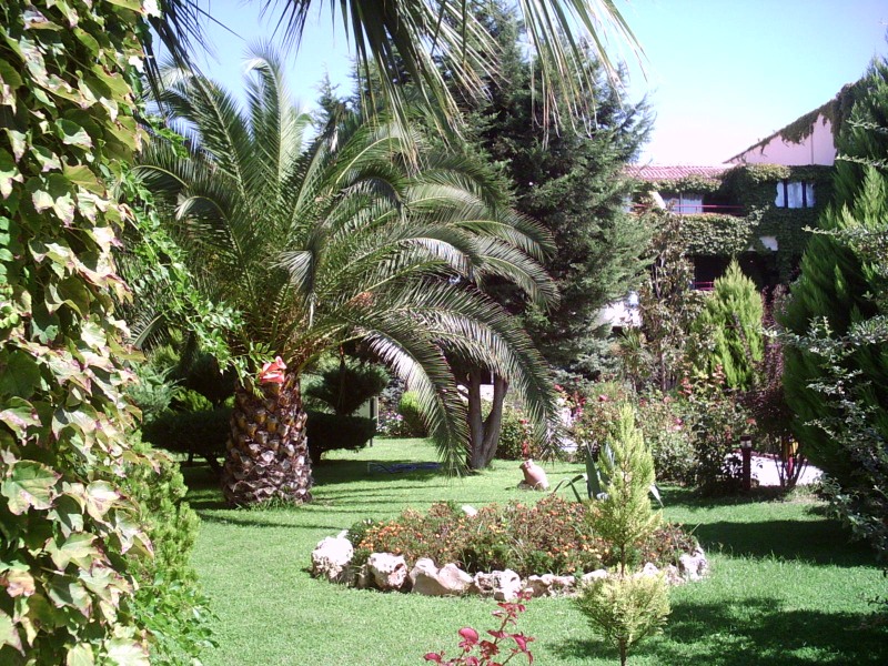 PICT0098.JPG