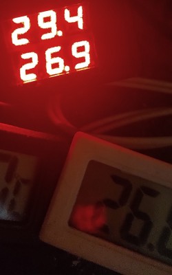 IMG_20250119_222028750.jpg