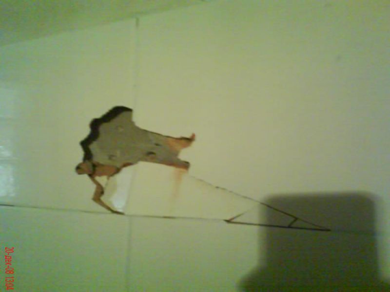 DSC00283.JPG