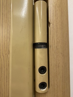 IMG_3835.JPEG