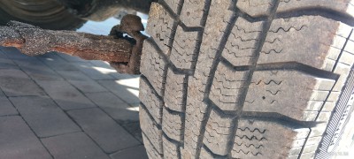 IMG_20241008_095203.jpg
