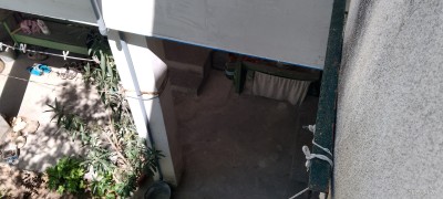 IMG_20250428_114443.jpg